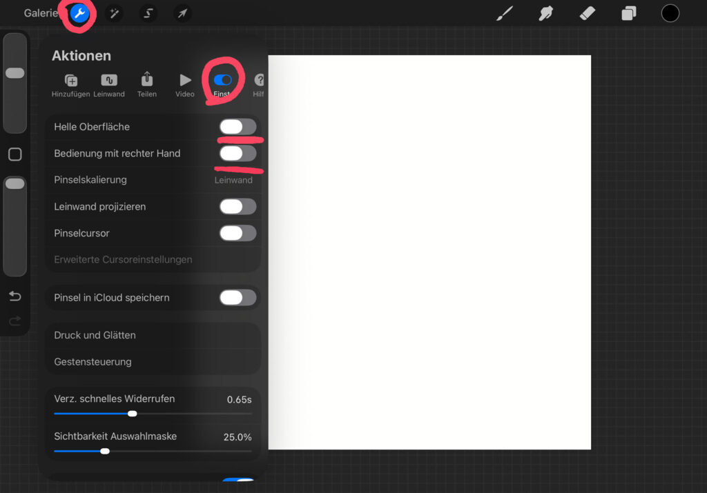 Procreate Leinwand einstellen